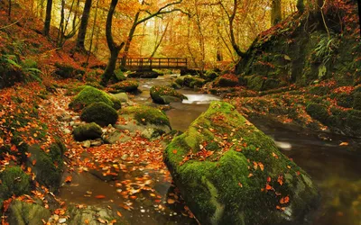 Dreamy Tranquil Wallpaper Wallpaper 4K, Nature category