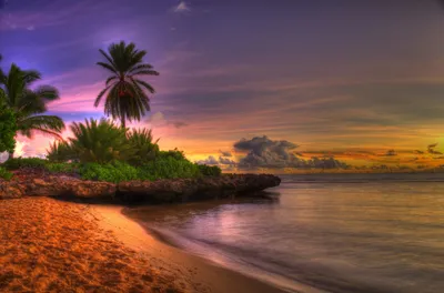 Sunset Wallpapersafari Nature Nature Wallpaper 4K 4944x3265