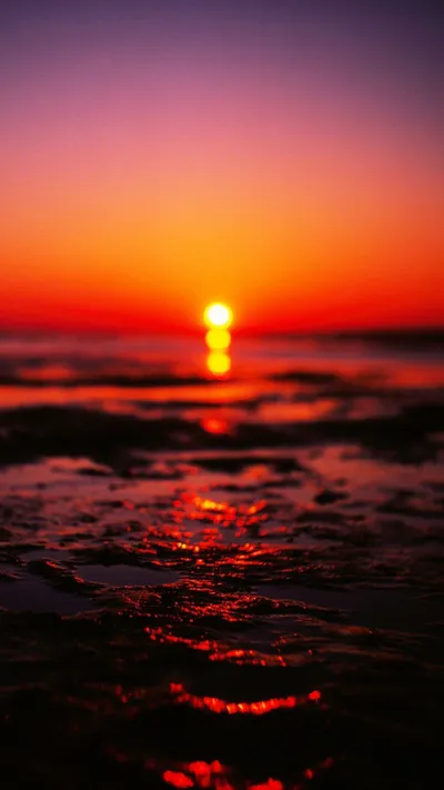 Bold Sunset Wallpaper Nature Wallpaper 4K 1440x2560