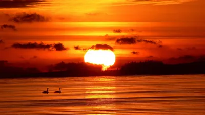 Sunset Wallpaperbat Nature Nature Wallpaper 4K 1920x1080