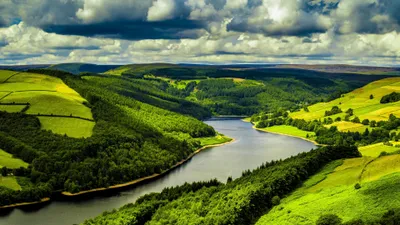 Sleek Lush Wallpaper Wallpaper 4K, Nature category