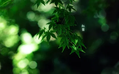 Anime Wallpaper 1918x1198 Abstract Wallpaper 4K 1918x1198 Ultrawide
