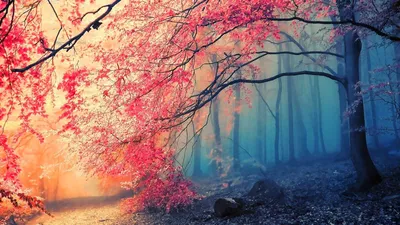 Anime Wallpaper 1664x935 Abstract Wallpaper 4K 1664x935 Ultrawide