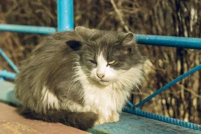Anime Wallpaper 5182x3454 Abstract Wallpaper 4K 5182x3454 Ultrawide, 4k
