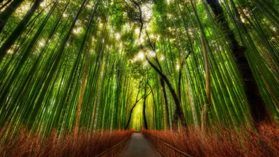 Anime Wallpaper 3838x2158 Abstract Wallpaper 4K 3838x2158 Ultrawide, QHD