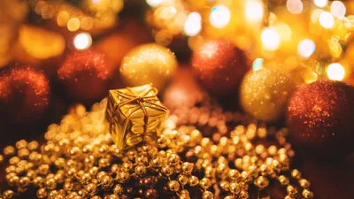 Vivid Christmas Wallpaper Nature Wallpaper 4K 2560x1440