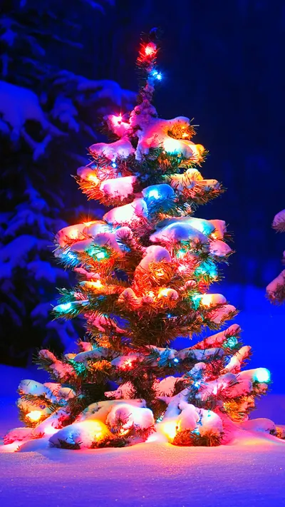 Bold Christmas Wallpaper Technology Wallpaper 4K 1440x2560