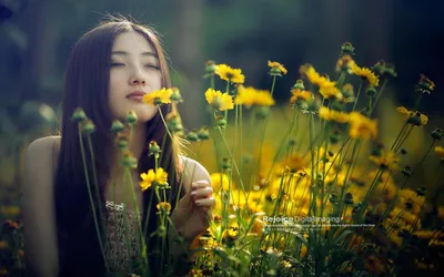 Moody Asian Wallpaper Nature Wallpaper 4K 1920x1200 Hd, Desktop, Wallpaper, Of, An, Asian, Woman, Sitting, Field, Yellow, Flowers, Evoking, Gray, Brown, Ultrawide, Full HD