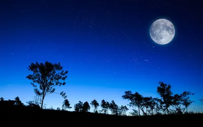 Serene Night Large Nature Wallpaper 4K 1920x1200 A, Serene, Night, Scene, Showcasing, Large, Moon, Against, Deep, Blue, Sky, Silhouettes, Red, Ultrawide, Full HD