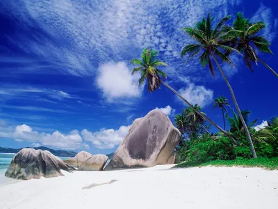 Pristine Beach White Sand Towering Nature Wallpaper 4K 1600x1200 Hd, Desktop, Wallpaper, Featuring, A, Pristine, Beach, With, White, Sand, Towering, Palm, Landscape