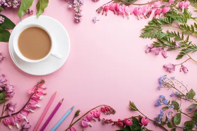 Cup Flower Food Nature Wallpaper 4K 5184x3456 Cup, Flower, Food, Coffee, Hd, Desktop, Wallpaper, White, Landscape, 4k