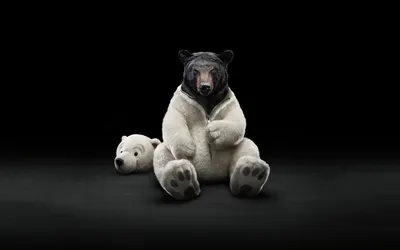 Dark Costume Wallpaper Animals Wallpaper 4K 1920x1200 Costume, Bear, Funny, Animal, Hd, Desktop, Wallpaper, White, Gray, Ultrawide, Full HD