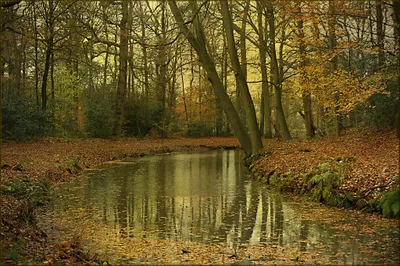 Moody Depicting Wallpaper Nature Wallpaper 4K 2048x1365 Hd, Pc, Desktop, Wallpaper, Depicting, A, Tranquil, Fall, Scene, Calm, River, Flowing, Brown, Ultrawide, Full HD