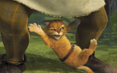 Serene Puss Wallpaper Animals Wallpaper 4K 1920x1200 A, Hd, Desktop, Wallpaper, Featuring, Puss, In, Boots, Movie, Showing, Orange, Cat, Gray, Ultrawide, Full HD