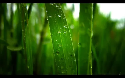 Anime Wallpaper 1678x1048 Abstract Wallpaper 4K 1678x1048 Ultrawide