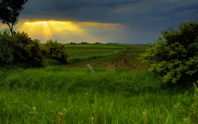 Bright Serene Wallpaper Nature Wallpaper 4K 1920x1200 Hd, Pc, Desktop, Wallpaper:, Featuring, A, Serene, Nature, Landscape, Lush, Green, Fields, Gray, Ultrawide, Full HD