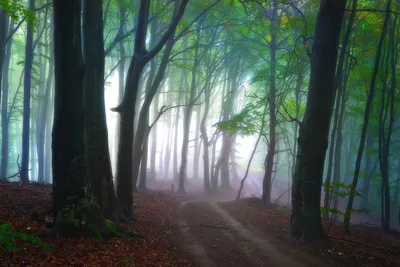 Anime Wallpaper 1918x1280 Abstract Wallpaper 4K 1918x1280 Landscape