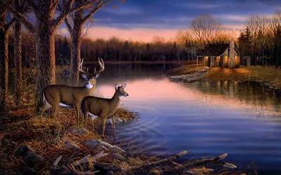 Crisp Two Wallpaper Nature Wallpaper 4K 1680x1050 Hd, Wallpaper, Featuring, Two, Deer, By, A, Tranquil, Lake, Near, Cozy, Cottage, Brown, Ultrawide