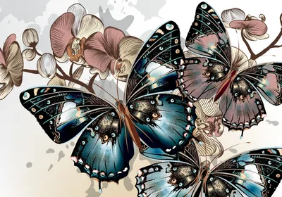 Abstract Depicting Detailed Butterflies Black/Dark Wallpaper 4K 4992x3503 Hd, Abstract, Desktop, Wallpaper, Depicting, Detailed, Butterflies, With, Vibrant, Blue, Black, Wings, White, Landscape, 4k