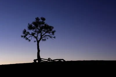 Serene General Wallpaper Abstract Wallpaper 4K 6144x4101 Wallpaper, General, 6144x4101, Landscape, 4K