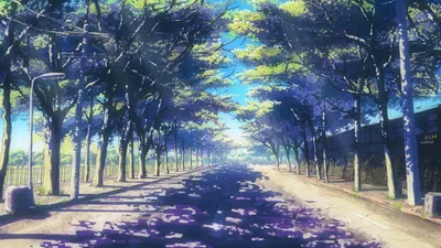 Definition Anime Depicting Nature Wallpaper 4K 1920x1080 A, High-definition, Anime-style, Wallpaper, Depicting, Road, Lined, Tall, Leafy, Trees, Sunlight, Filters, Gray, White, Ultrawide, Full HD