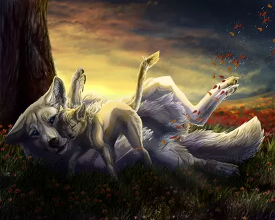 Moody Fantasy Wallpaper Nature Wallpaper 4K 2000x1600 Hd, Fantasy, Pc, Desktop, Wallpaper, Of, Two, Wolves, One, Lying, Back, While, Orange, Gray, Pink, Square, Full HD