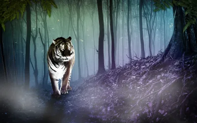 Cgi Fantasy Majestic Tiger Animals Wallpaper 4K 2560x1600 A, Cgi, Fantasy, Hd, Wallpaper, Featuring, Majestic, Tiger, Walking, Through, Enchanting, Misty, Gray, Ultrawide, QHD