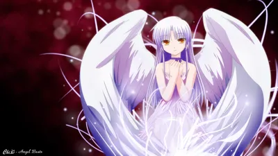 Anime Wallpaper 2558x1438 Abstract Wallpaper 4K 2558x1438 Light Gray, Full HD, Ultrawide