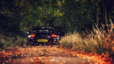 Bright Tree Wallpaper Cars Wallpaper 4K 1920x1080 A, Porsche, 911, Driving, On, Tree-lined, Road, Fallen, Leaves, Captured, Desktop, Brown, Orange, Ultrawide, Full HD