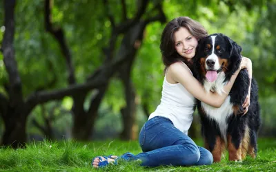 Woman Embraces Large Dog Animals Wallpaper 4K 2560x1600 A, Woman, Embraces, Large, *dog, While, Kneeling, Grass, Lush, Green, Park, Desktop, White, Ultrawide, QHD