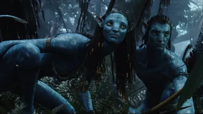 Jake Sully Neytiri Nature Wallpaper 4K 1920x1080 Hd, Desktop, Wallpaper, Featuring, Jake, Sully, And, Neytiri, Movie, Avatar, Both, Blue, Brown, Gray, Ultrawide, Full HD