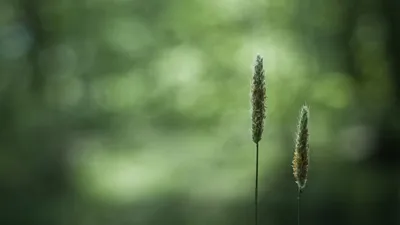 Anime Wallpaper 1918x1078 Abstract Wallpaper 4K 1918x1078 Ultrawide