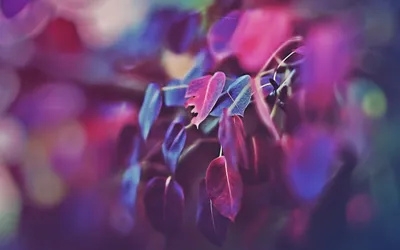 Anime Wallpaper 2878x1798 Abstract Wallpaper 4K 2878x1798 Ultrawide, QHD