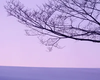 Anime Wallpaper 1278x1022 Abstract Wallpaper 4K 1278x1022 Square