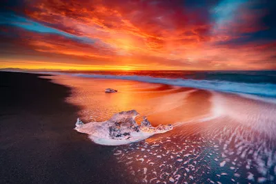 Crisp Incomparable Wallpaper Nature Wallpaper 4K 3840x2559