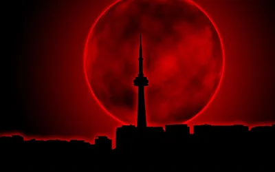 Vibrant Red Wallpaper Black/Dark Wallpaper 4K 2560x1600
