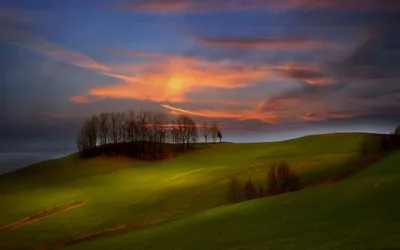 Radiant Serene Wallpaper Nature Wallpaper 4K 2560x1600 A, Serene, Sunrise, Over, Rolling, Green, Hills, With, Silhouetted, Trees, Against, Vibrant, Brown, Ultrawide, QHD