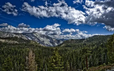 Mountainous Landscape Covered Dense Nature Wallpaper 4K 2560x1600 Hd, Desktop, Wallpaper, Of, A, Mountainous, Landscape, Covered, Dense, Forests, Under, Vibrant, Brown, Ultrawide, QHD