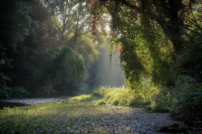 Dreamy Nature Wallpaper Nature Wallpaper 4K 2048x1365
