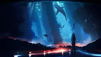 Child Stands Aquarium Gazing Animals Wallpaper 4K 2560x1440 A, Child, Stands, In, An, Aquarium, Gazing, Awe, Sharks, Other, Fish, Swim, Pink, Yellow, Ultrawide, QHD