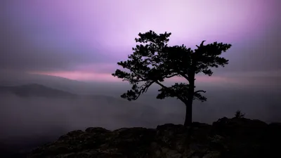 Anime Wallpaper 1918x1078 Abstract Wallpaper 4K 1918x1078 Ultrawide
