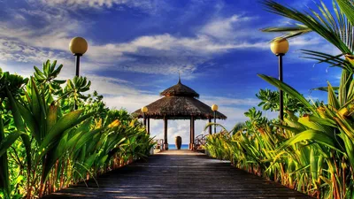 Vibrant Nature Wallpaper Nature Wallpaper 4K 1600x900