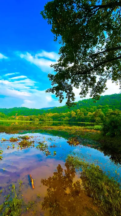 Nature Nature Nature Wallpaper 4K 2160x3840