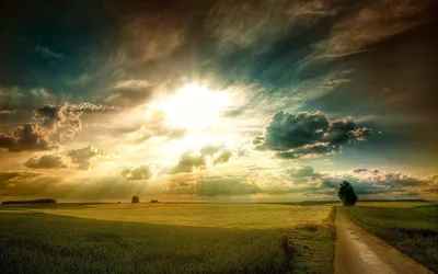 Radiant Definition Wallpaper Nature Wallpaper 4K 1600x1000
