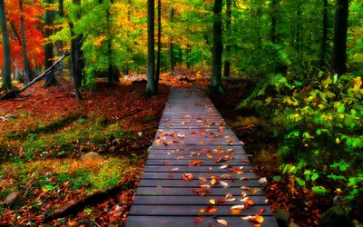 1080p Nature Andlasopa Nature Wallpaper 4K 2560x1600