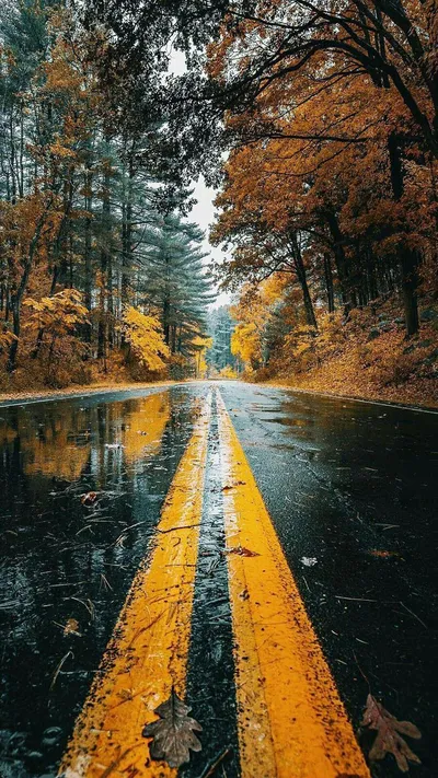 Nature Technology Technology Wallpaper 4K 1080x1920