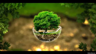 Nature Definition Wallpapertag Nature Wallpaper 4K 1920x1080