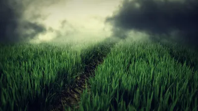 Anime Wallpaper 2558x1438 Abstract Wallpaper 4K 2558x1438 Full HD, Ultrawide