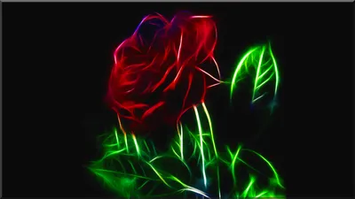 Abstract Vibrant Red Rose Abstract Wallpaper 4K 1920x1080 Hd, Abstract, Wallpaper:, Featuring, A, Vibrant, Red, Rose, Against, Black, Enhanced, Fractal, Ultrawide, Full HD