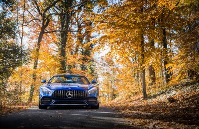 Vibrant Amg Wallpaper Cars Wallpaper 4K 4096x2678 A, Mercedes-amg, Gt, C, Car, In, Forest, Setting, Autumn, Foliage, Presented, Ultra, Orange, Gray, Ultrawide, 4k